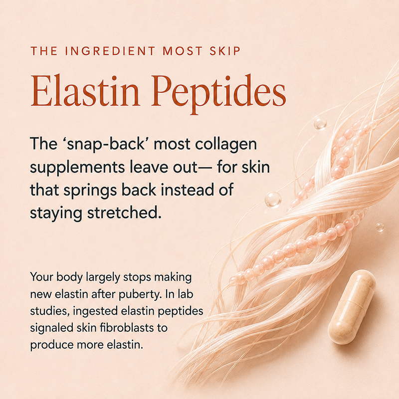 Elastin Peptides